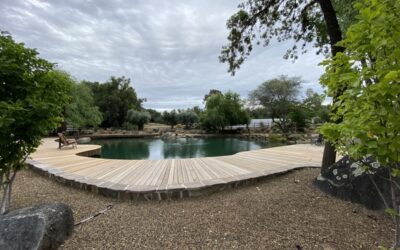 When Is the Best Time to Landscape in Sacramento