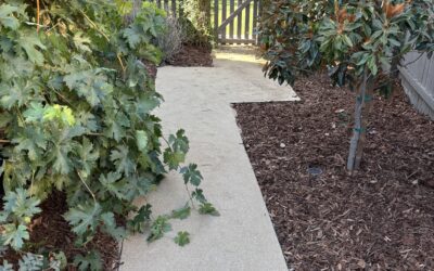 What to Expect During a Backyard Installation Project