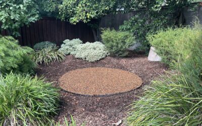 The Value of Mulch in Keeping Sacramento Landscapes Healthy